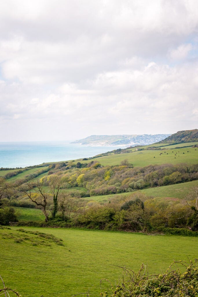 dorset area of outstanding natural beauty