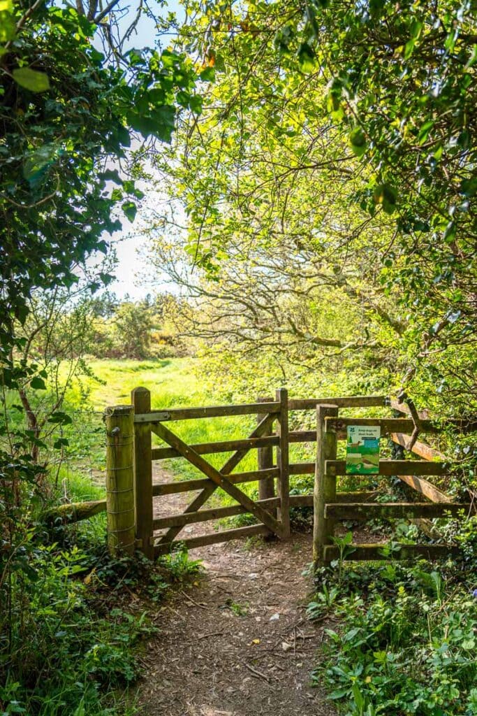 gate by car park