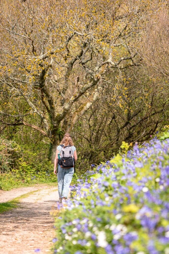 walking by some flowers