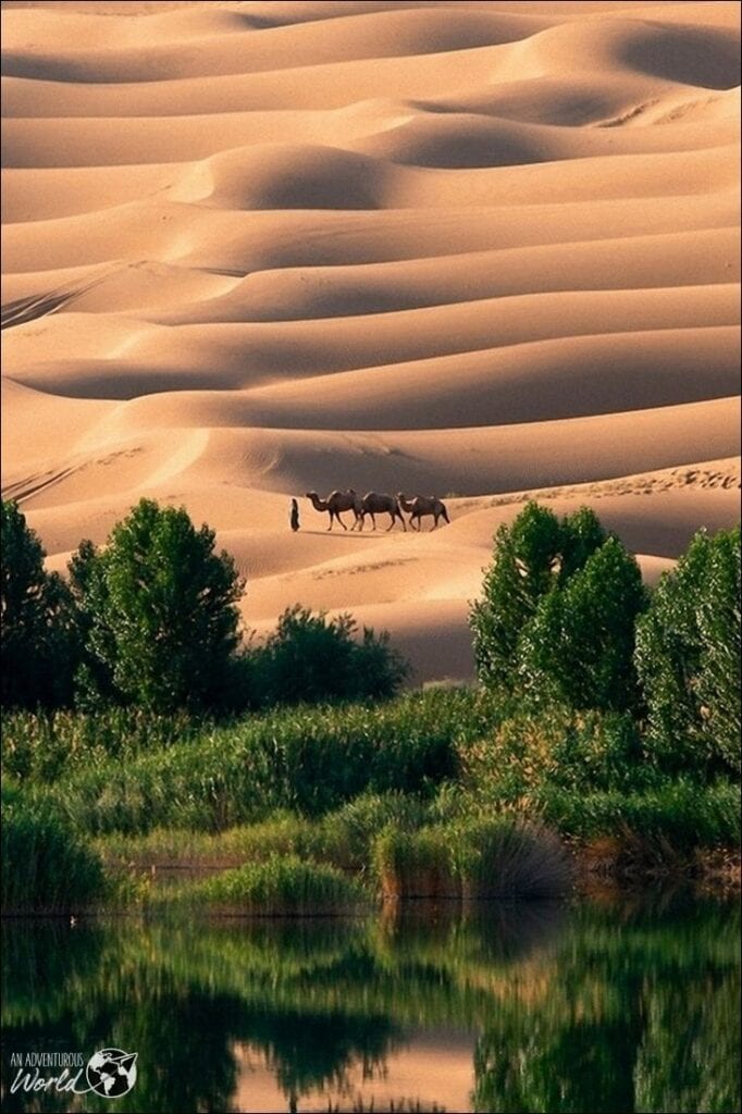 liwa oasis
