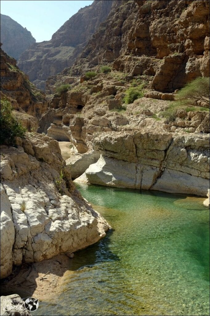 wadi shawka